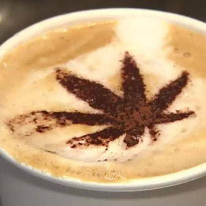 Meet your Posher, Bob